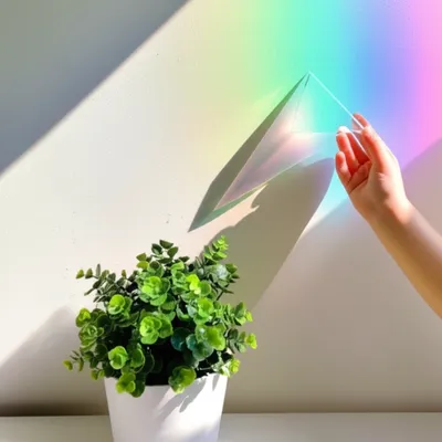 Illustration rainbows - Image 1