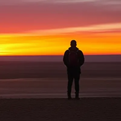 Illustration roved - Image 1