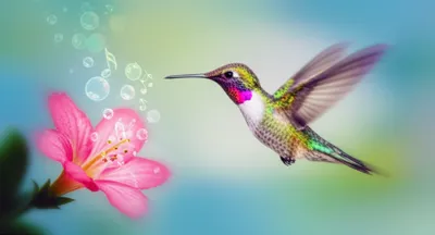 Illustration lilting - Image 1