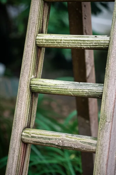 Illustration staves - Image 1