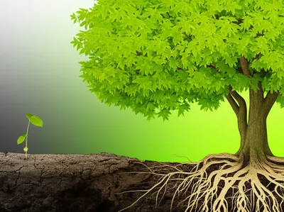 Illustration upgrades - Image 1