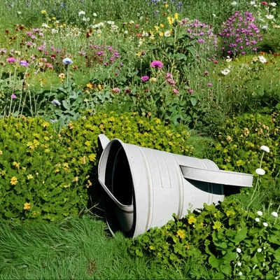 Illustration degradation - Image 1