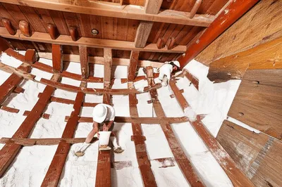 Illustration salting - Image 1