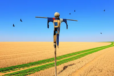Illustration scarecrow - Image 1