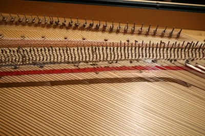 Illustration choirs - Image 1