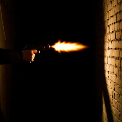 Hình ảnh minh họa gat - Ảnh 1