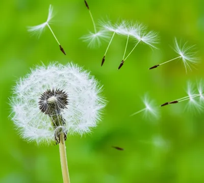 Illustration smallest - Image 1