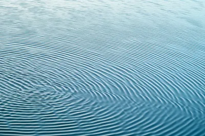 Illustration ruffling - Image 1