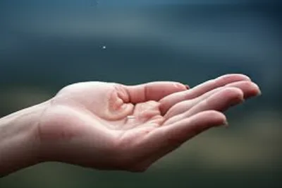 Illustration laconic