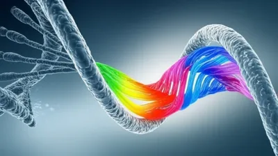 Illustration express - Image 1