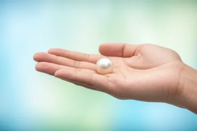 Illustration whit - Image 1