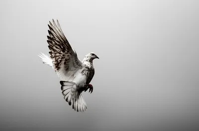 Illustration depravity - Image 1