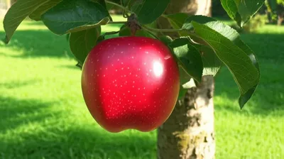 Illustration falling - Image 1