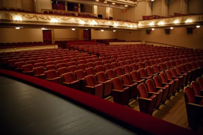 Illustration parquet - Image 1