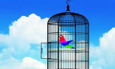 Illustration emancipated