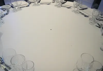 Illustration fleas - Image 1