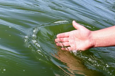 Illustration obstruct - Image 1