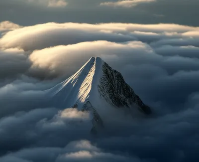 Illustration rears - Image 1