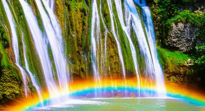 Illustration falls - Image 1