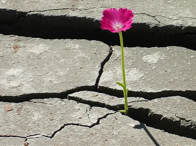 Illustration actualise - Image 1