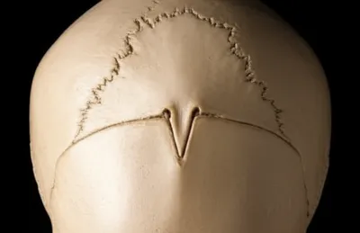 Illustration lambda - Image 1