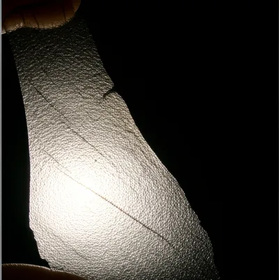 Illustration scants - Image 1