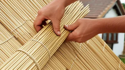 Illustration thatching