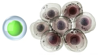 Illustration affected - Image 1