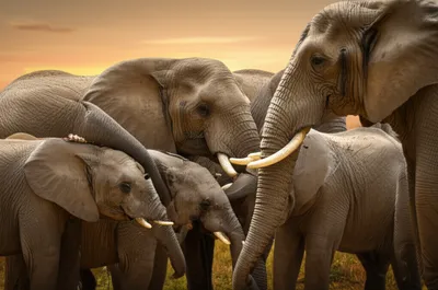 Illustration memories - Image 1