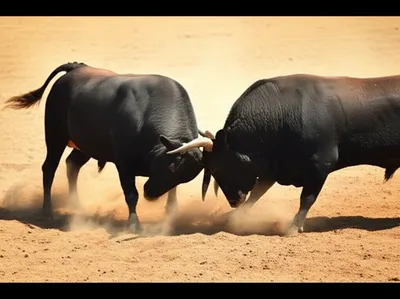 Illustration beefing - Image 1