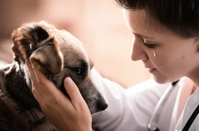 Illustration destroying - Image 1