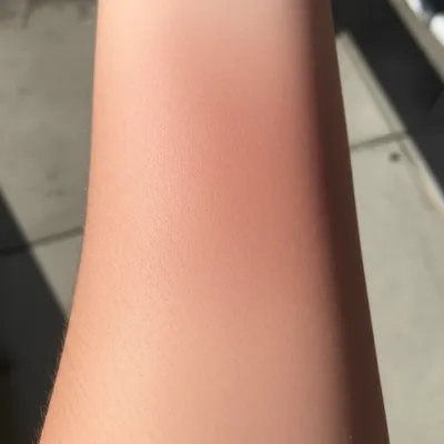 Illustration browns - Image 1