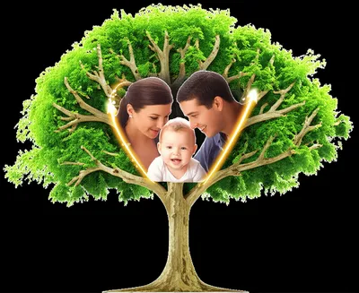 Illustration affiliations - Image 1