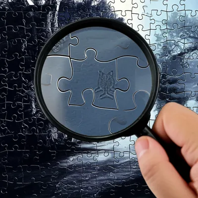 Illustration investigates - Image 1