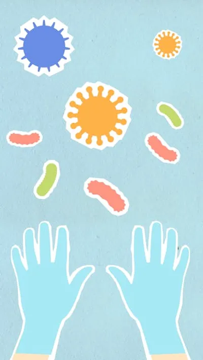 Illustration bacilli - Image 2