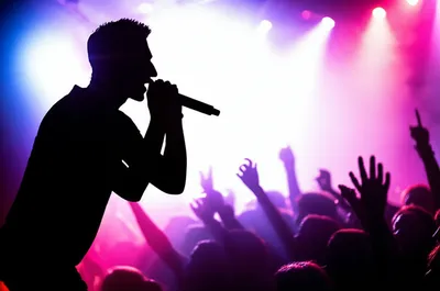 Illustration rappers - Image 1