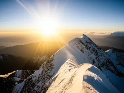 Illustration crowns - Image 1