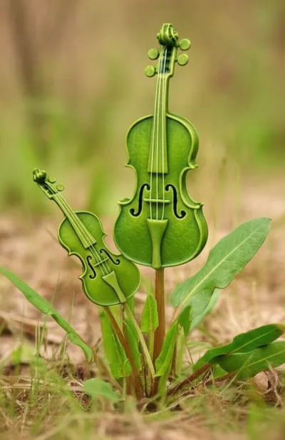 Illustration fiddle - Image 1