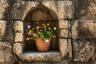 Illustration housing - Image 1