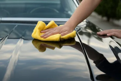 Illustration chamois - Image 1