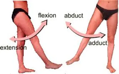 Illustration extension - Image 2