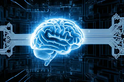 Illustration programmed - Image 1