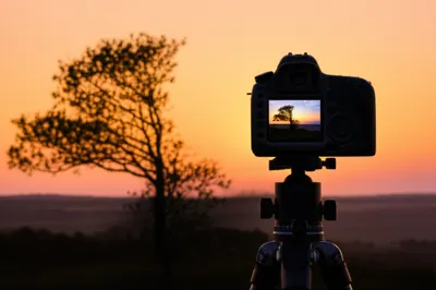 Illustration compose - Image 1