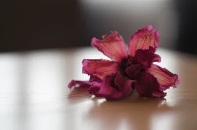 Illustration flatten - Image 1