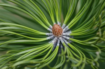 Illustration fascicule - Image 1