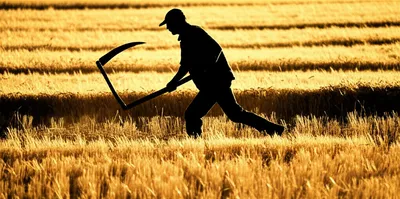 Illustration scythed - Image 1