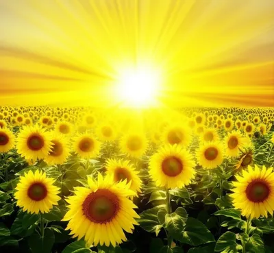 Illustration radiating - Image 1