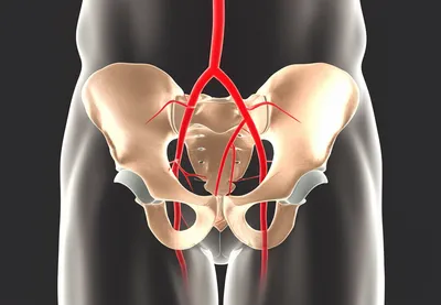 Illustration sacra - Image 1