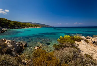 Illustration idylls - Image 2