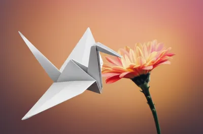 Illustration folded - Image 1